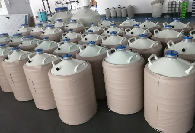 液氮罐 液氮罐