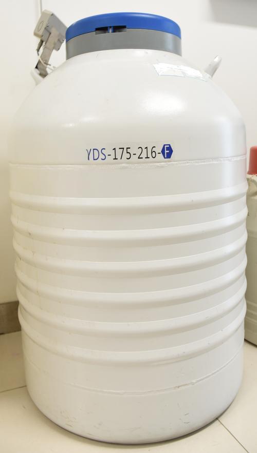 YDS-175-216液氮罐